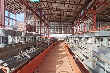Copper and silver ore processing plant with 1000tpd in Nigeria Anka